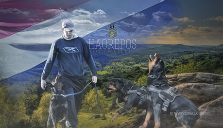 Website van de Haorepos